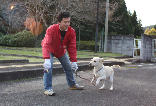 盲導犬の写真